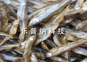 魚干